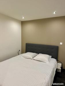 Appartement 2 pièces 4 personnes au cœur du village St étienne de Tinée