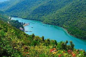 Apartments with A - C in Funtana-Istrien 55151