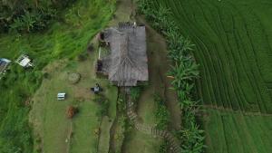 Rumah Pacung