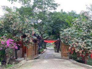 Hoa Lau Homestay Tràng An