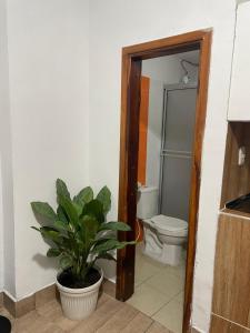 Descanso Urbano Pereira