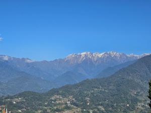 The Bliss Homestay