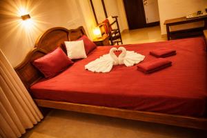 Gecko beach resorts