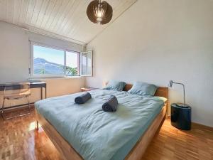 Sunny Alps Panorama Modern House above Sion