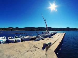 Apartment in Pašman near Adriatic Beaches