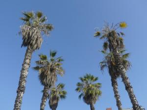 Barranco Chic Loft in the Heart of Barranco