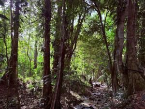 Villa Brisa Verde in La Fortuna - Private Jacuzzi