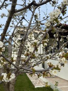 Cozy house Makri