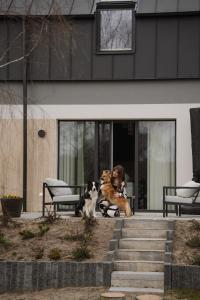 Ciekocino Forest Apartamenty nad morzem