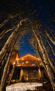 WoodLand Tskhvarichamia Private Cottage in Forest , 25 min from Tbilisi, Easy Access