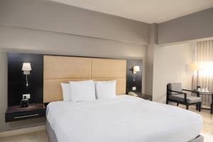 Radisson Hotel Santo Domingo
