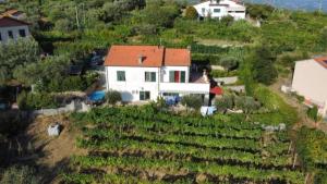 In Vino Veritas B&B