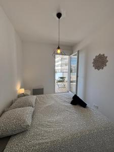 Le Wilson-Gare-wifi-Clim-terrasse