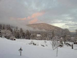 Maisons d'hotes B&B Chalet l'Epinette : photos des chambres