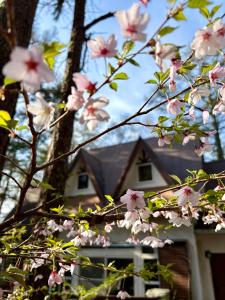 Mountain chalet getaway at Fuji-Sanroku 富士山麓のシャレー風山荘
