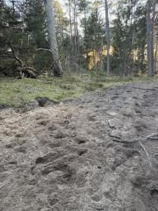 Vacation home near Tisvilde near mountain biking, beach and nature