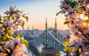 Venus Apartments - Almassy Park II