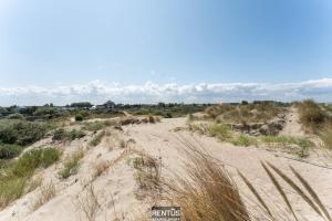 Villa Sealise - spacious house by the dunes in Westende