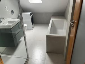 Apartmán Křižíkova