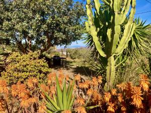 Cortijo Django