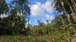 Lombok Glamping