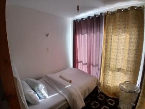 Superior Studio Apartment