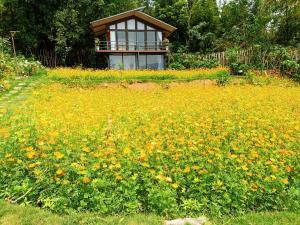 Mây Farmstay Đà Bắc