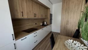 Nowoczesny Apartament w Centrum Żnin