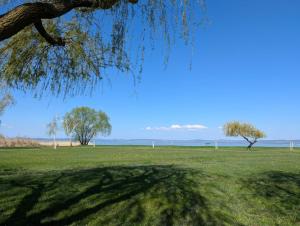 1038 - Szemesnek áll a Világ Vendégház