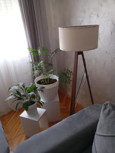 Apartment Aleksandrija