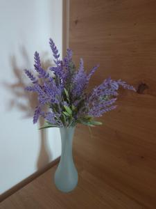 Apartman NATAŠA