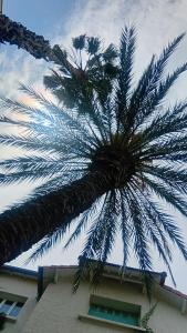 2 Grande Chambre Studio avec salle de bain, WC et kitchenette privés