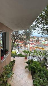 Kapllani Guest House