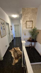 Apartman Holiday home Joy - Rovinj