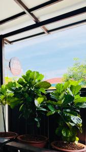 Relax & Enjoy Garden Homestay