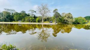Relax & Enjoy Garden Homestay