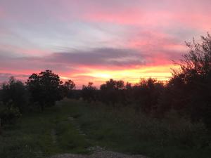 Family house close to Ancient Olympia