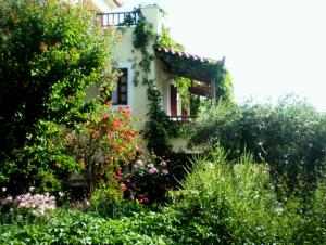 Tiki Rooms Samos Greece