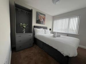 Belmont Budget Apartment