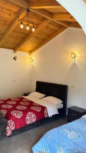 Windmill Shkodra Gesthouse Camping & Grill