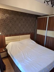 Apartment Decebal