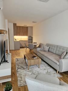 Apartment Anita Cetinje 3