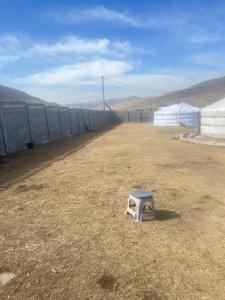 Mongolian Yurt & Horse riding