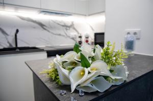 Apartamento LUXOR