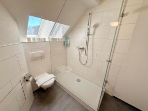 Quiet Attic-Apartment Bern Center