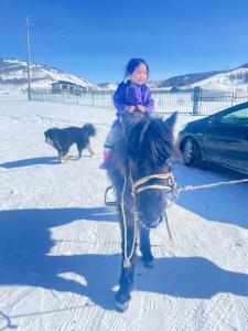 Mongolian Yurt & Horse riding