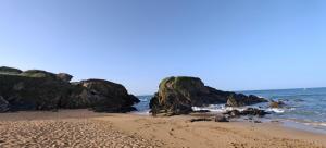 Ti Poulpe, Maison cosy, Plage 100m, Piscine