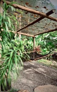 White Noise Butterfly Sanctuary & River Retreat - Butterfly Bungalow