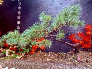 Pine Leaf lnn 楓の宿 2号館