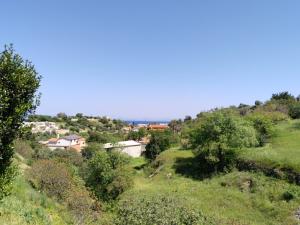 Calm Horizon Residence